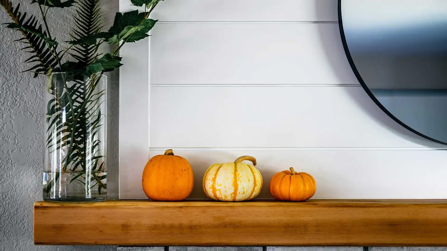 f65f54_390a5f1b343240f29232aaf76fcd034f~mv2